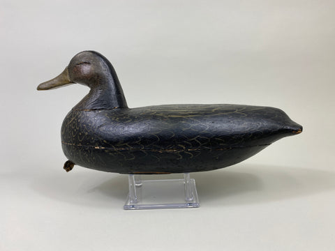 Calvin Parker Black Duck (#9557)