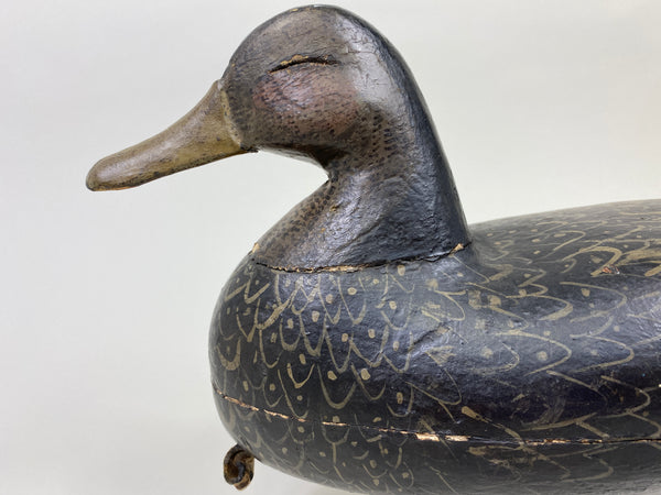 Calvin Parker Black Duck (#9557)