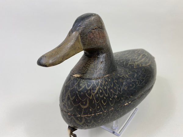 Calvin Parker Black Duck (#9557)