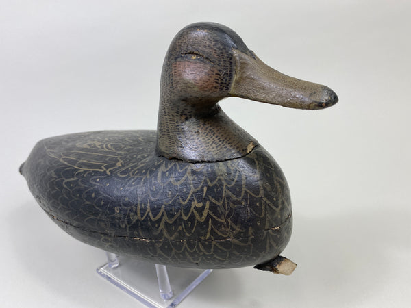 Calvin Parker Black Duck (#9557)