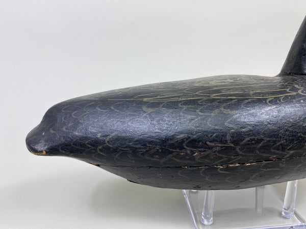 Calvin Parker Black Duck (#9557)