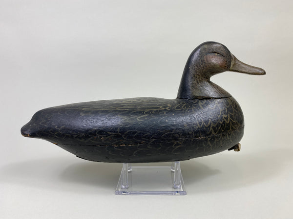 Calvin Parker Black Duck (#9557)