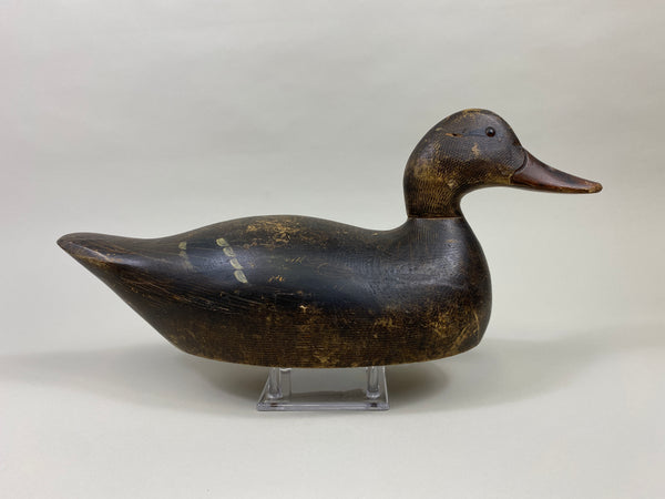 Evans Mallard Hen (#9565)