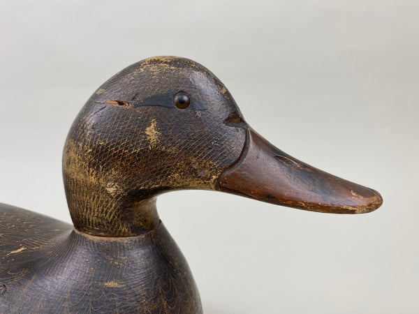 Evans Mallard Hen (#9565)