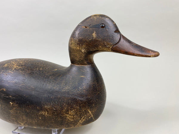 Evans Mallard Hen (#9565)