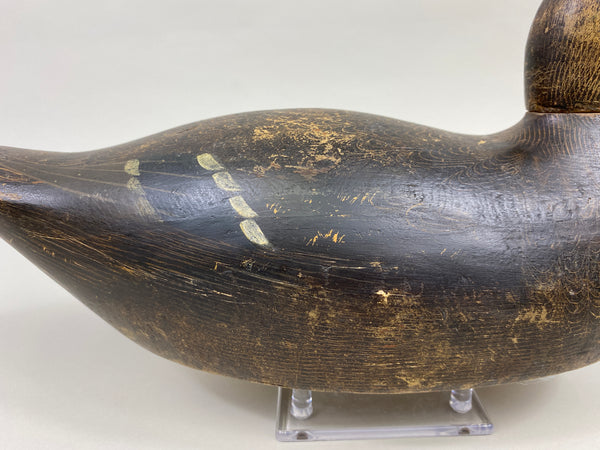 Evans Mallard Hen (#9565)
