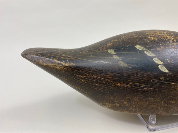 Evans Mallard Hen (#9565)