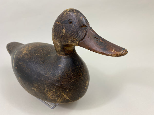 Evans Mallard Hen (#9565)