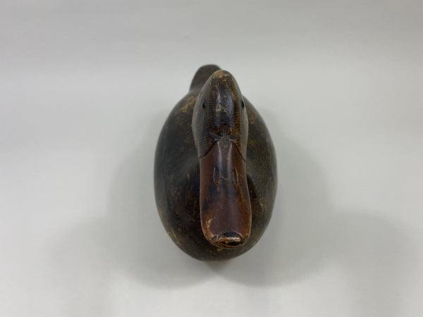 Evans Mallard Hen (#9565)