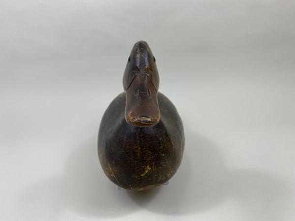 Evans Mallard Hen (#9565)