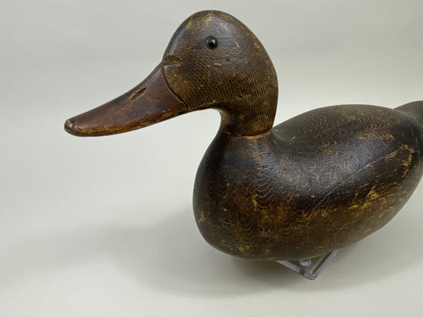 Evans Mallard Hen (#9565)