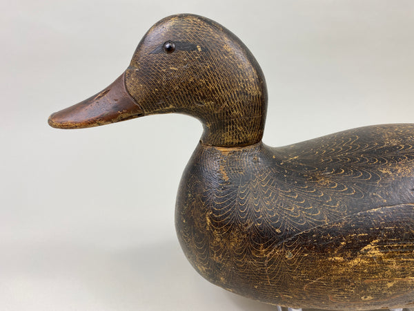 Evans Mallard Hen (#9565)