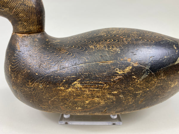 Evans Mallard Hen (#9565)