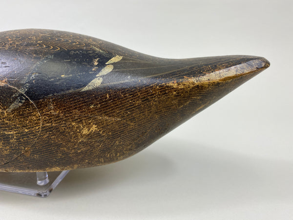 Evans Mallard Hen (#9565)