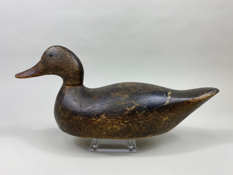 Evans Mallard Hen (#9565)
