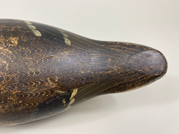 Evans Mallard Hen (#9565)
