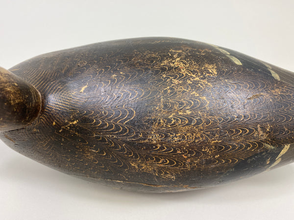 Evans Mallard Hen (#9565)