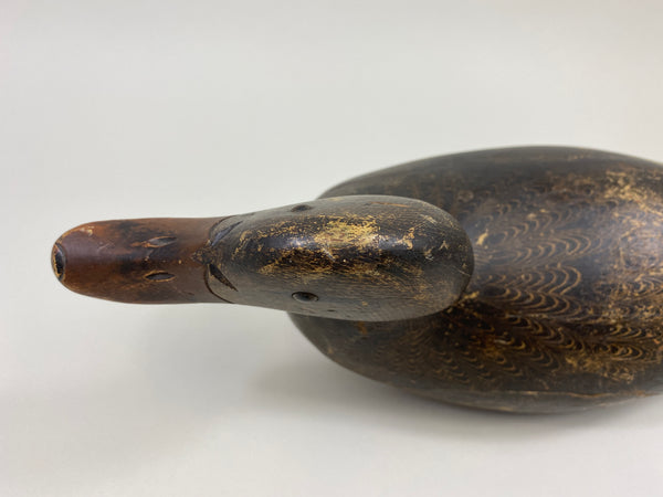 Evans Mallard Hen (#9565)