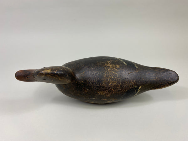Evans Mallard Hen (#9565)