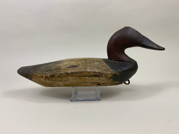 Chesapeake Bay Canvasback Drake (#9575)