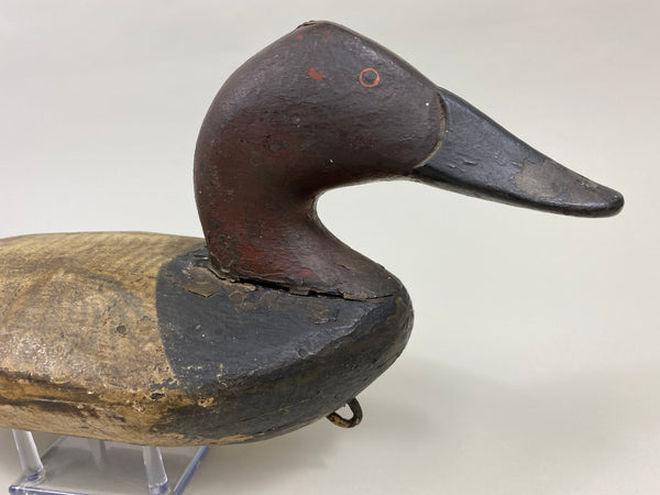 Chesapeake Bay Canvasback Drake (#9575)