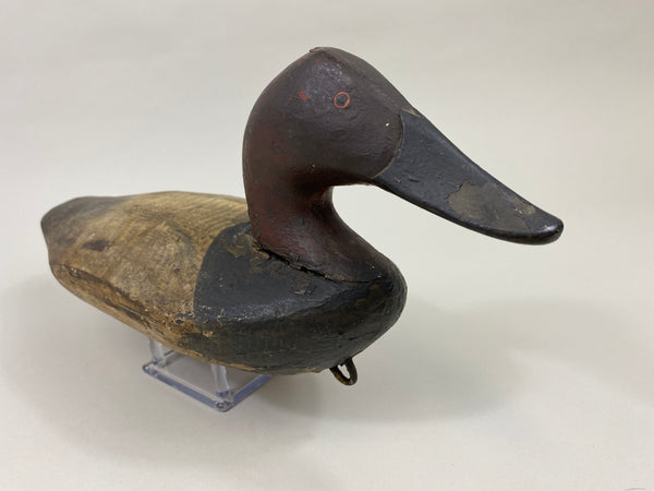 Chesapeake Bay Canvasback Drake (#9575)