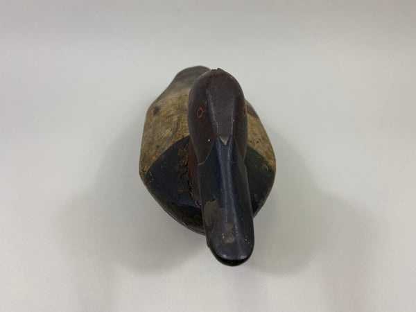 Chesapeake Bay Canvasback Drake (#9575)