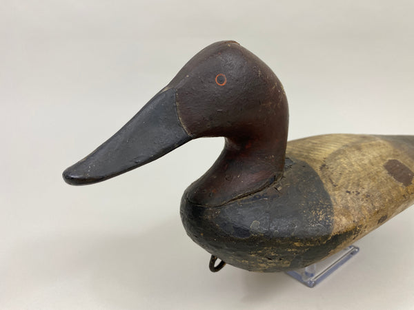 Chesapeake Bay Canvasback Drake (#9575)