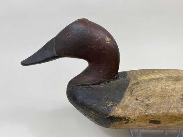 Chesapeake Bay Canvasback Drake (#9575)
