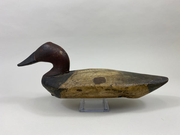 Chesapeake Bay Canvasback Drake (#9575)