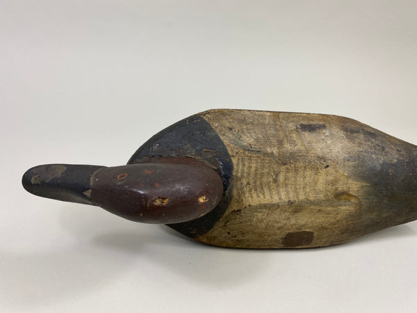 Chesapeake Bay Canvasback Drake (#9575)
