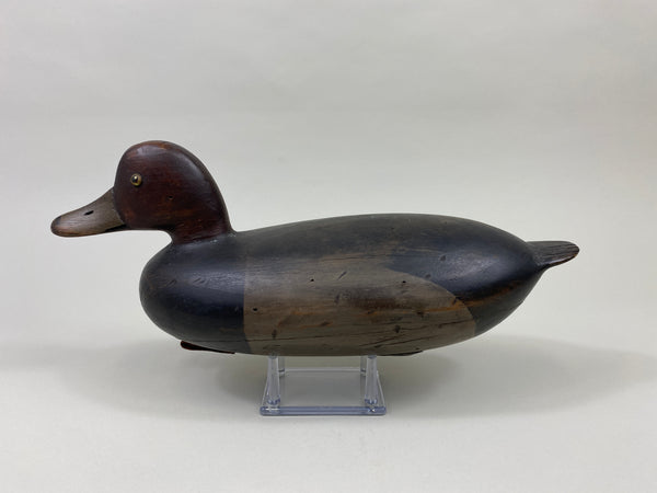 Delaware River Redhead Drake (#9579)