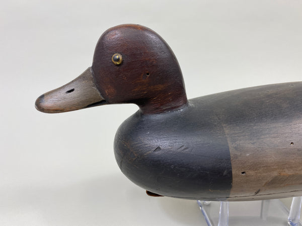 Delaware River Redhead Drake (#9579)