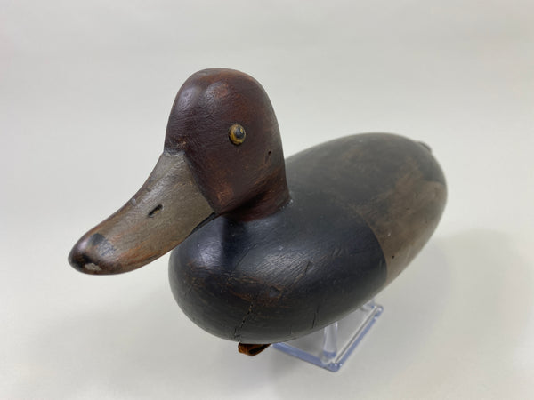 Delaware River Redhead Drake (#9579)