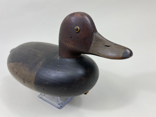 Delaware River Redhead Drake (#9579)