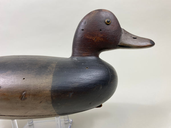 Delaware River Redhead Drake (#9579)