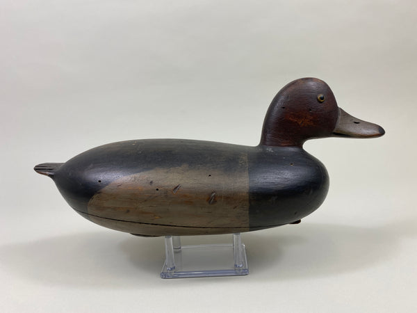Delaware River Redhead Drake (#9579)