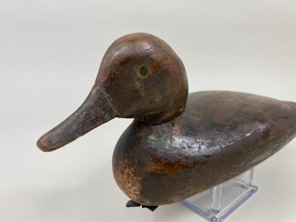 Peterson Factory Teal Hen, Barron Rig (#9580)