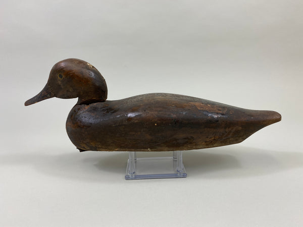 Peterson Factory Teal Hen, Barron Rig (#9580)