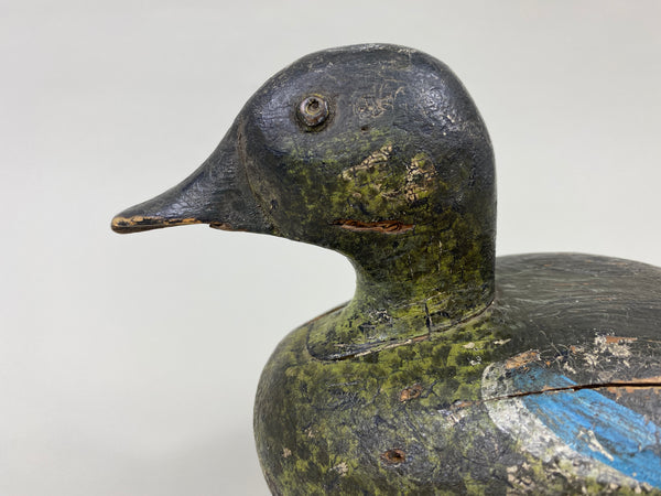 Wisconsin Blue Wing Teal Drake (#9599)