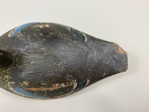 Wisconsin Blue Wing Teal Drake (#9599)