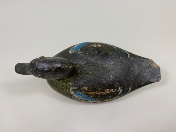 Wisconsin Blue Wing Teal Drake (#9599)