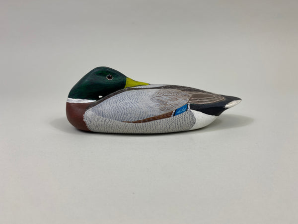 H.H. Stites Third Size Sleeping Mallard Drake (#9628)