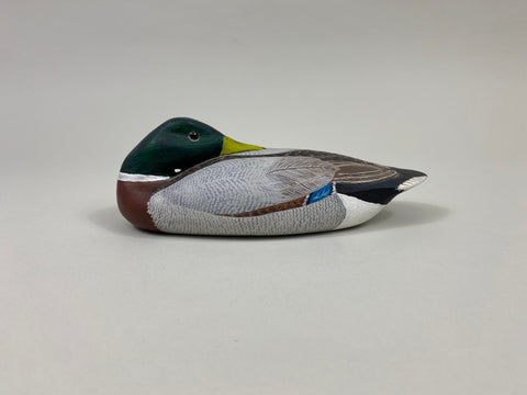 H.H. Stites Third Size Sleeping Mallard Drake (#9628)