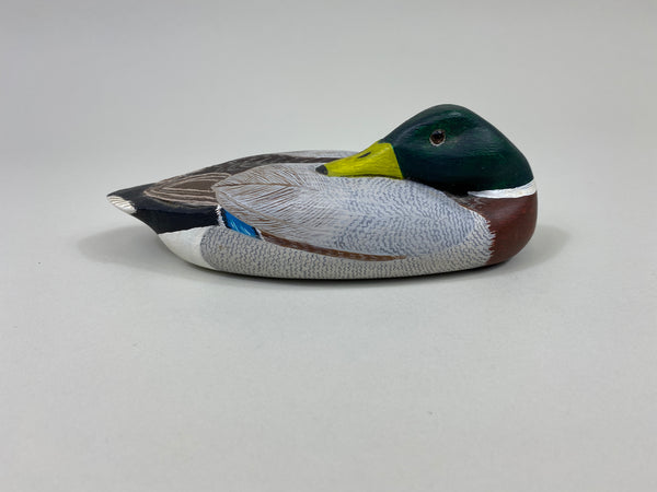 H.H. Stites Third Size Sleeping Mallard Drake (#9628)