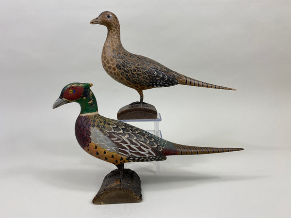 Pair of Third Size Standing Pheasants (#9629)
