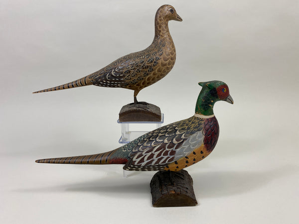 Pair of Third Size Standing Pheasants (#9629)