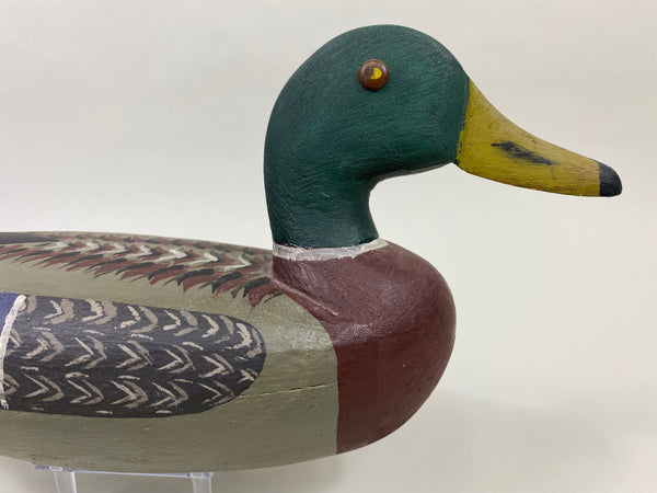 Fred Mott Mallard Drake (#9639)