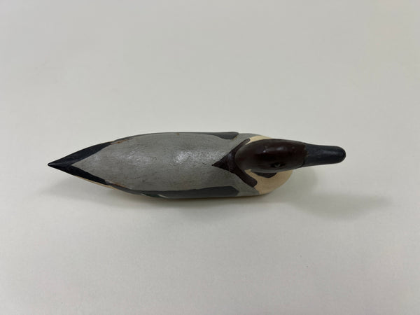 Unknown Midwest Miniature Pintail Drake (#4856)