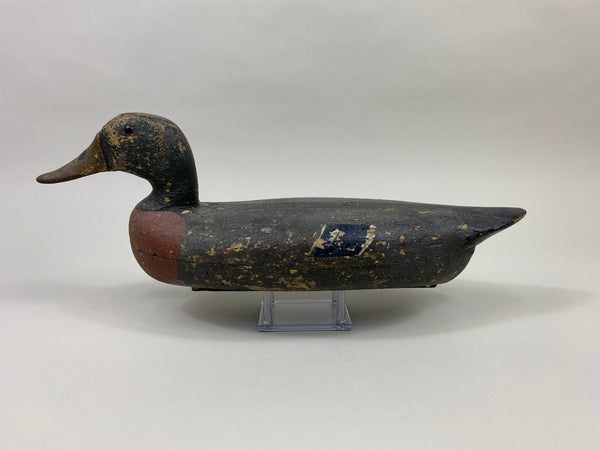 William Lohrman Mallard Drake (#9660)